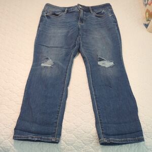 Old Navy Women's Blue Jeans